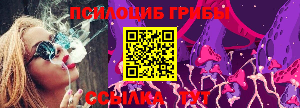 Псилоцибиновые грибы прущие грибы Ипатово